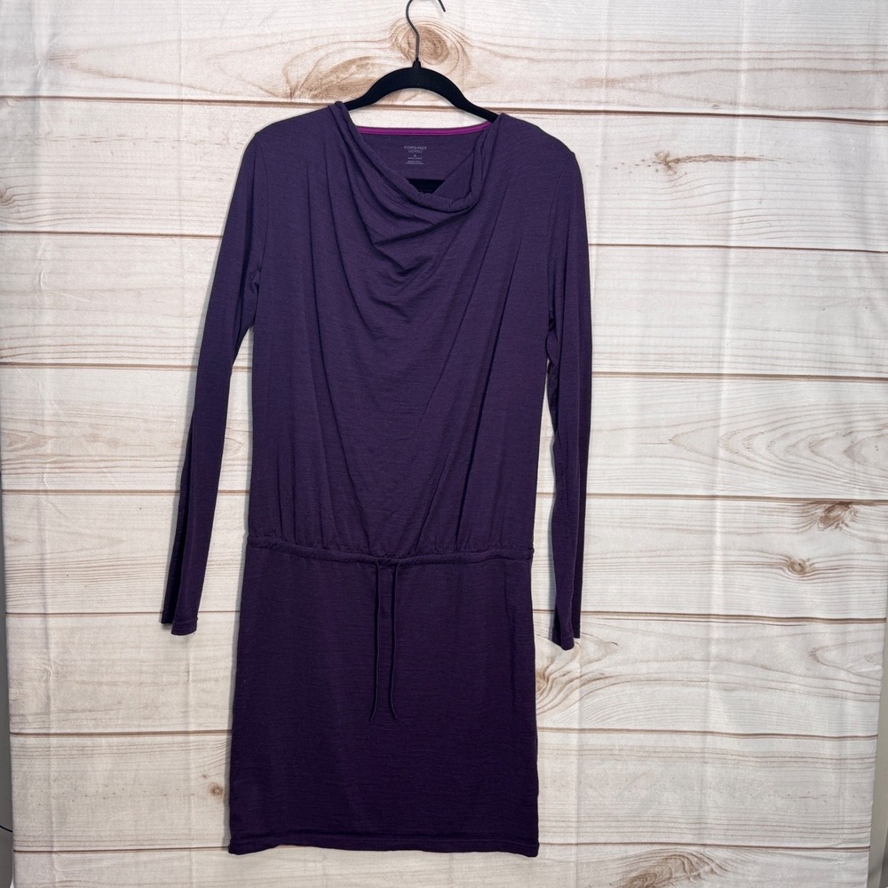 Icebreaker Merino Wool Dress Women S Purple Cowl Neck Long Sleeve Drawstring